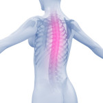 Weiblicher Rücken mit Wirbelsäule